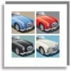 MGA_01_500X500